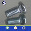 Good Service DIN603 Zinc Plated Carriage Screw